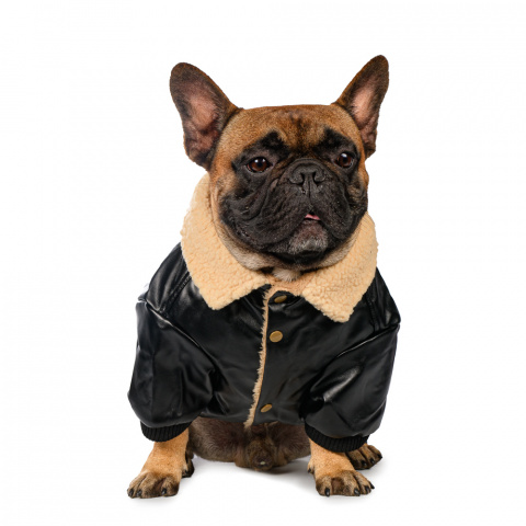 Куртка из кожзама для собак XS черный (унисекс) 1