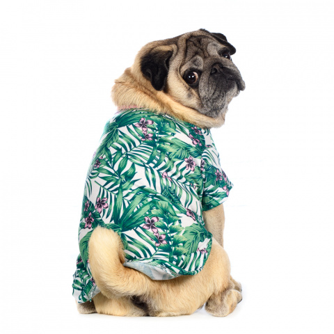 Рубашка для собак с листьями M зеленый (унисекс) 3