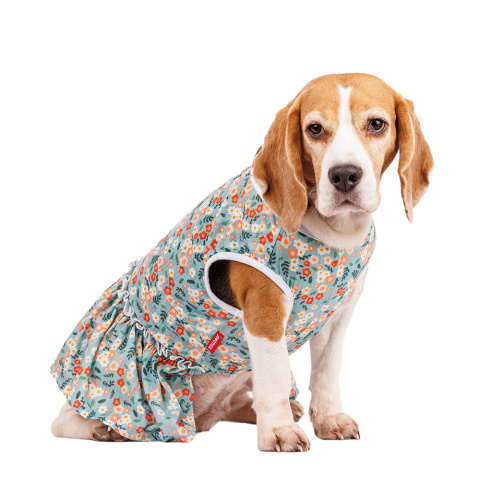Платье для собак в цветочек 2XL зеленый (девочка) 1