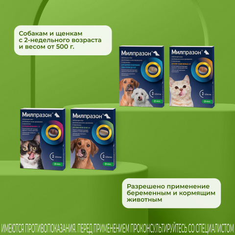 Милпразон Антигельминтные таблетки для собак весом более 5 кг, 2 таблетки 4