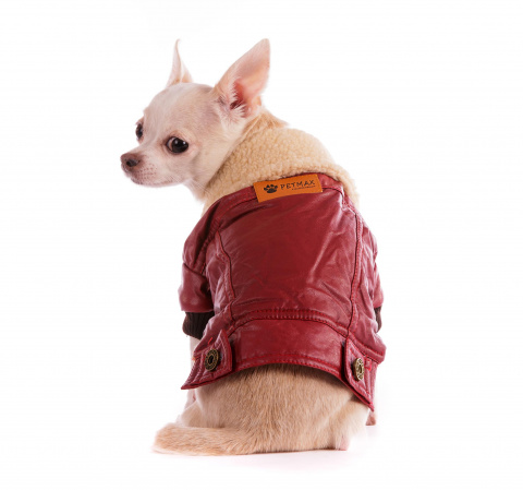Куртка из кожзама для собак S бордовый (унисекс) 2