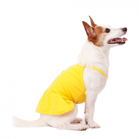 Платье для собак с ромашкой L желтый (девочка) 1