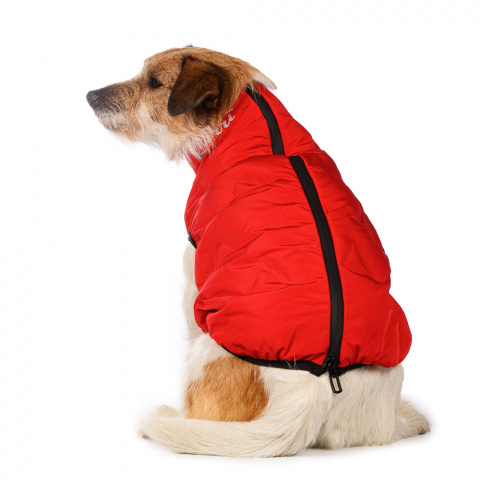Куртка для собак на молнии красная 1