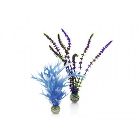 Растение Голубая и фиолетовая водоросль М 2шт