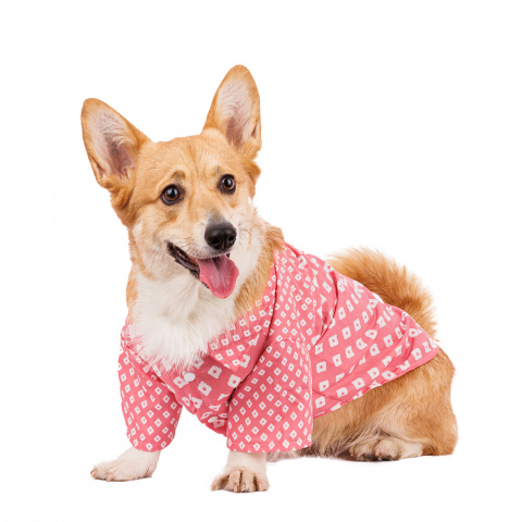 Рубашка для собак 2XL розовый (унисекс) 2