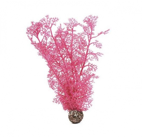 Растение Морской веер (горгонария) M розовый