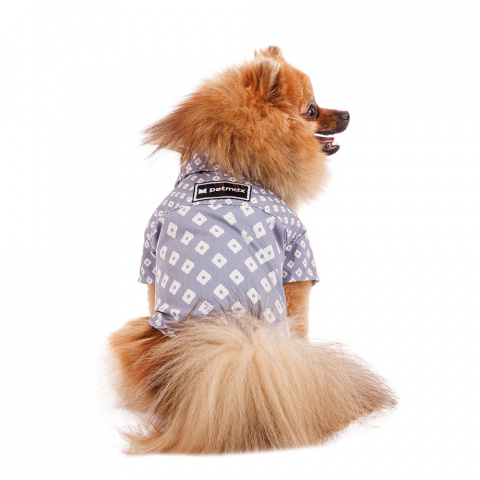 Рубашка для собак S голубой (унисекс)