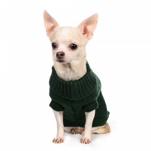 Свитер для собак с пайетками 40см XL зеленый (унисекс) 1
