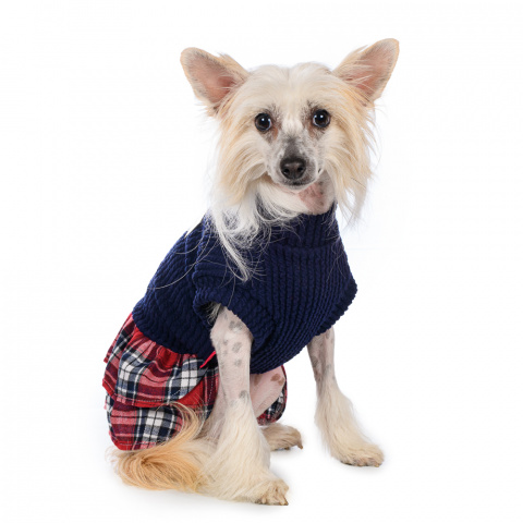 Платье-свитер с юбкой для собак XL синий (унисекс)