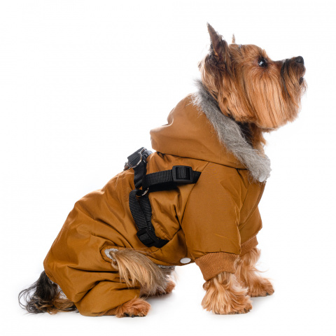 Комбинезон для собак со шлейкой и капюшоном бежевый