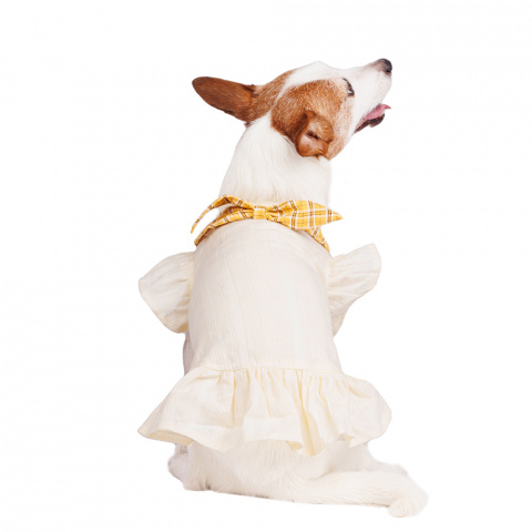 Платье с бантиком для собак Pure Sun M белый (девочка) 1