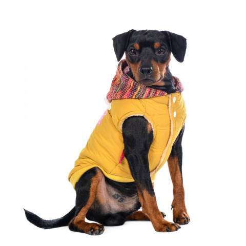 Куртка с капюшоном для собак M желтый (унисекс)