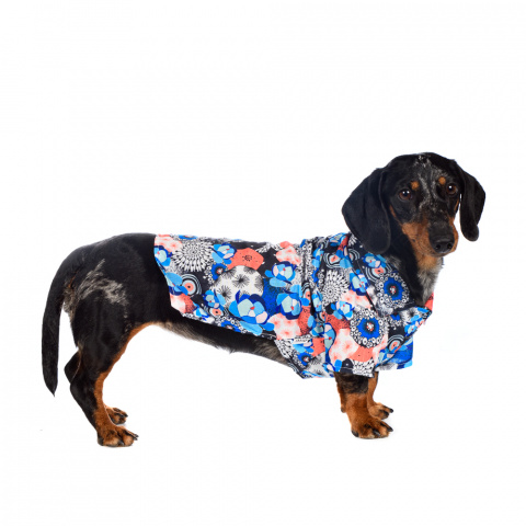 Рубашка для собак с узорами синяя L 4