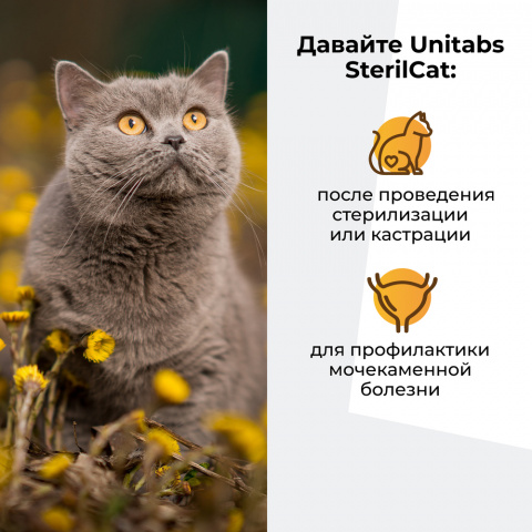 Витаминно-минеральный комплекс для стерилизованных кошек и кастрированных котов, 120 таблеток 3