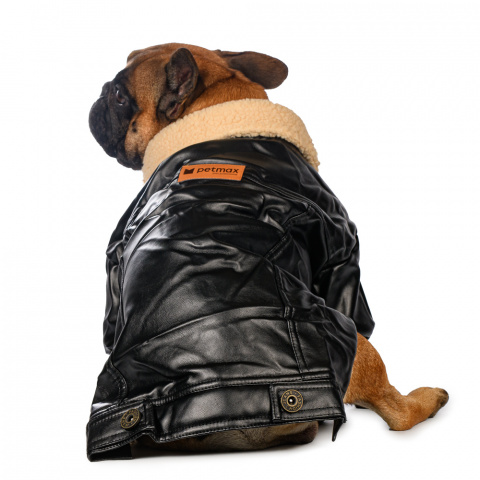 Куртка из кожзама для собак XS черный (унисекс) 2