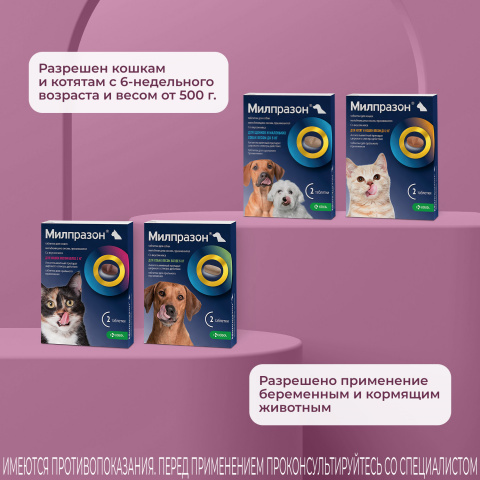Милпразон Антигельминтные таблетки для кошек весом более 2 кг, 2 таблетки 4