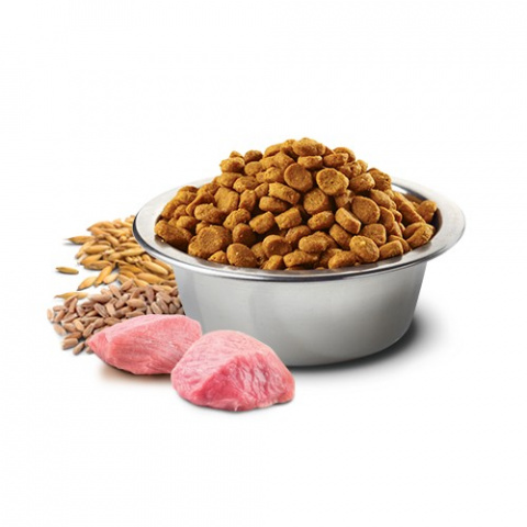 Mini низкозерновой сухой корм для взрослых собак мелких пород, с ягненком, спельтой, овсом и черникой, 2,5кг 1
