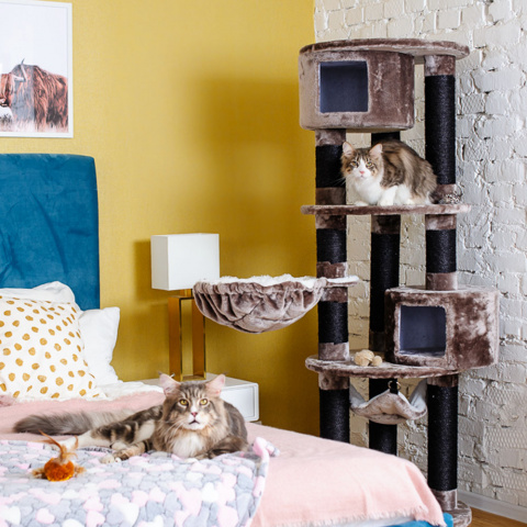 Игровой комплекс для кошек с когтеточкой CARDINAL с домиками и когтеточками, многоярусный с гамаками, бежевый, 60x60x175 см 2
