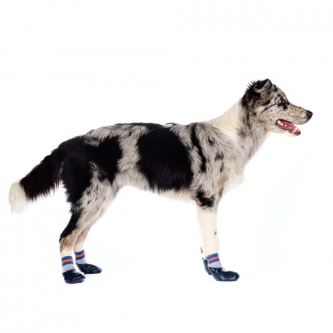 Носки с прорезиненной подошвой для собак XL синий (унисекс) 1