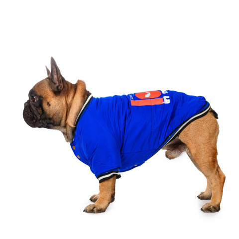 Куртка для собак Look S голубой (унисекс) 1