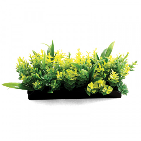 Растения композиция желтая 50мм