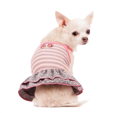 Платье для собак с бантиком S розовый (девочка) 2