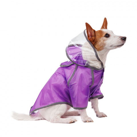 Дождевик для собак с капюшоном XL фиолетовый (унисекс)