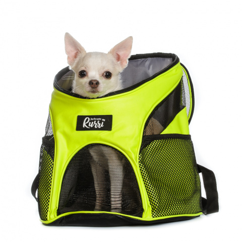 Рюкзак-переноска для кошек и собак мелкого размера, 35х25х31 см, зеленый 1