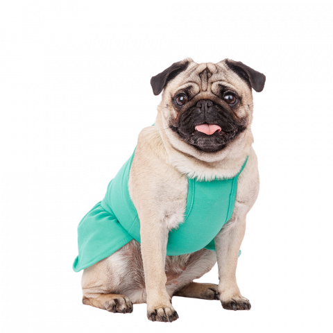 Платье для собак с ромашкой 2XL зеленый (девочка) 1