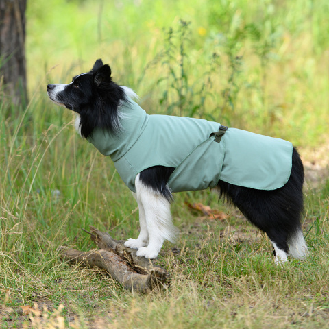 Охлаждающий жилет для собак, M, 25 см, цвет Хаки, цены, купить в  интернет-магазине Четыре Лапы с быстрой доставкой