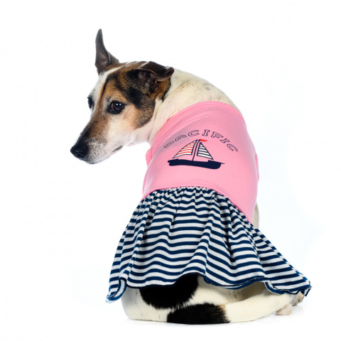 Платье для собак розово-синее L Space-Travel 1