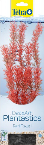 Foxtail Red L (Перистолистник красный) 30см