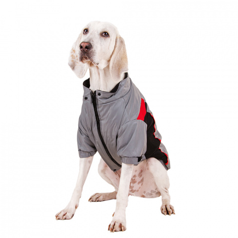 Куртка на молнии для собак крупных пород Карликовый пинчер, Джек Рассел, Бигль 56x79x51см 5XL серый (унисекс)