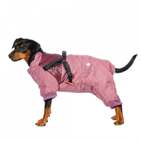 Комбинезон на молнии со шлейкой для собак M розовый (девочка)