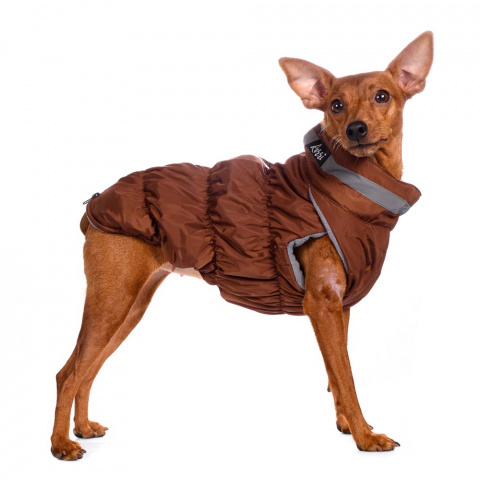 Куртка на молнии для собак Французский бульдог L коричневый (унисекс) 4