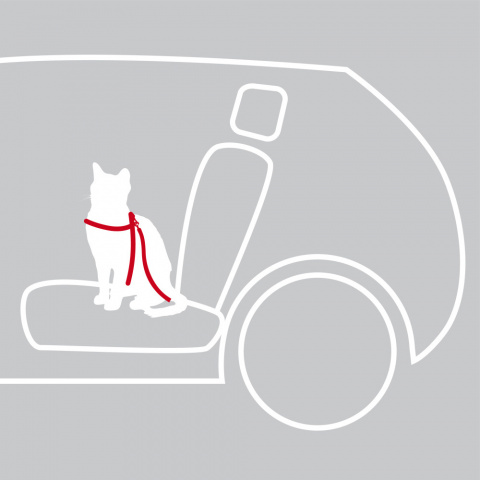 Автомобильный ремень безопасности для кошки 20-50 см 3