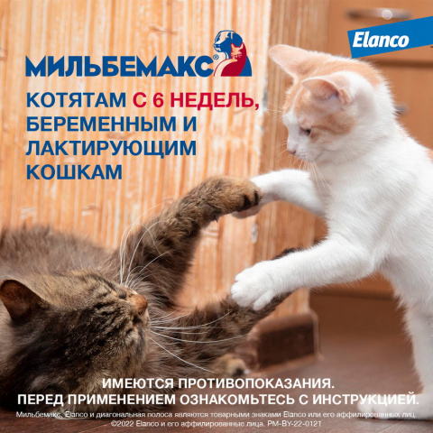 Мильбемакс Таблетки для котят от гельминтов, 2 таблетки 6