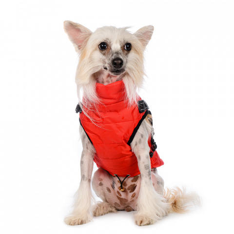 Куртка со шлейкой для собак L красный (унисекс) 1