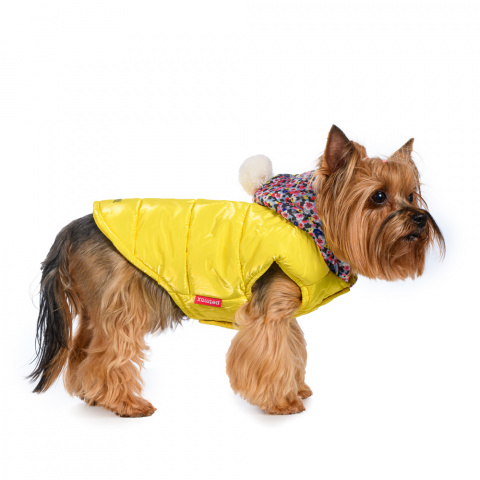 Куртка с капюшоном для собак XS желтый (унисекс)