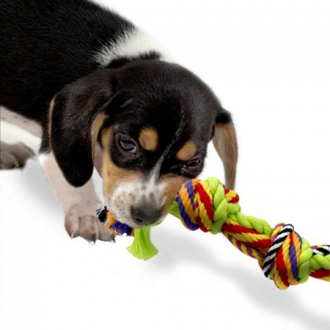 Игрушка для собак Mini Канат с узлами маленький 10 см 1