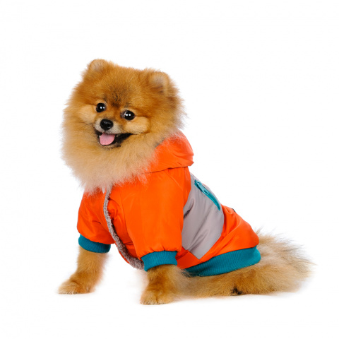 Куртка для собак оранжевая 2