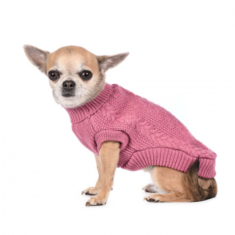 Вязаный свитер для собаки спицами - 65 фото