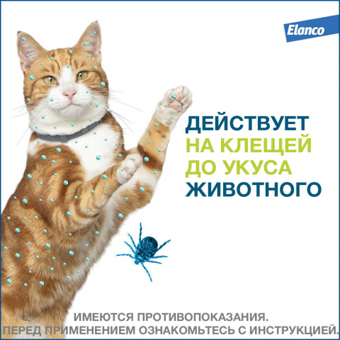 Форесто Ошейник для кошек от блох и клещей, 38 см 3