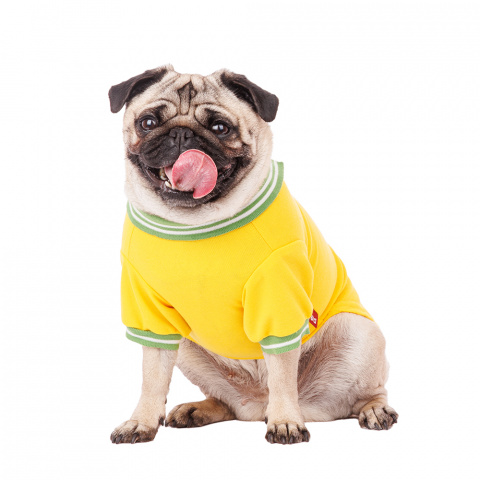 Футболка-поло для собак XL желтый (унисекс) 1