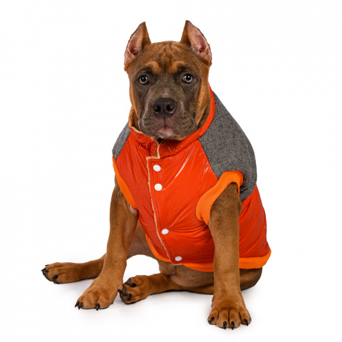 Куртка оранжевая 2XL 1