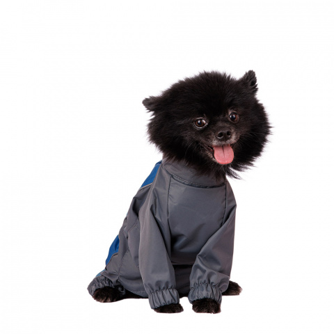 Дождевик для собак Йорк, Чихуа мальчик синяя гавань размер XL, 33x36x60 см 1