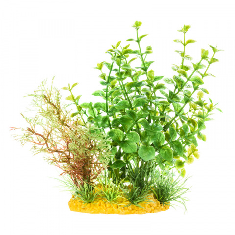 Растение композиция салатовое 15см арт. 40108