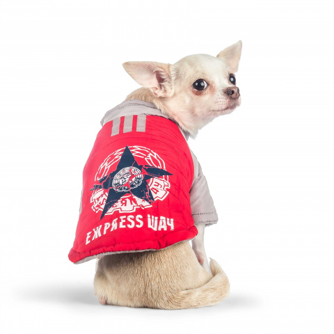 Куртка с капюшоном для собак XS красный (унисекс)