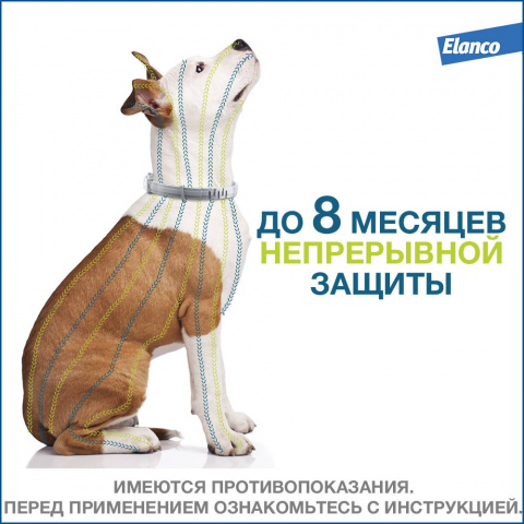 Foresto ошейник для собак весом до 8 кг от блох и клещей, 38см 8