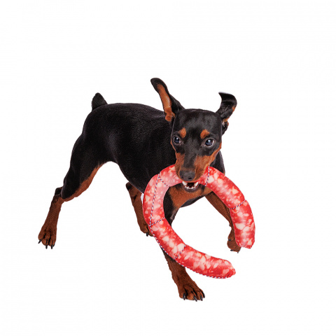 Игрушка для собак с пищалкой и погремушкой Колбаса, 48 см 1